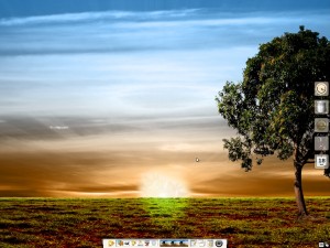 sunshine11