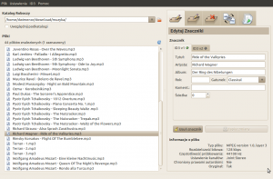 Audio Tag Tool - główne okno programu